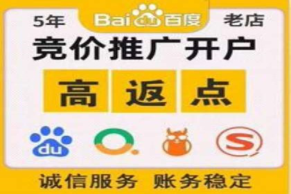 行业领先企业的sem竞价策略：成功案例剖析